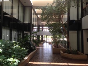 Dallas Office at Forest Central One